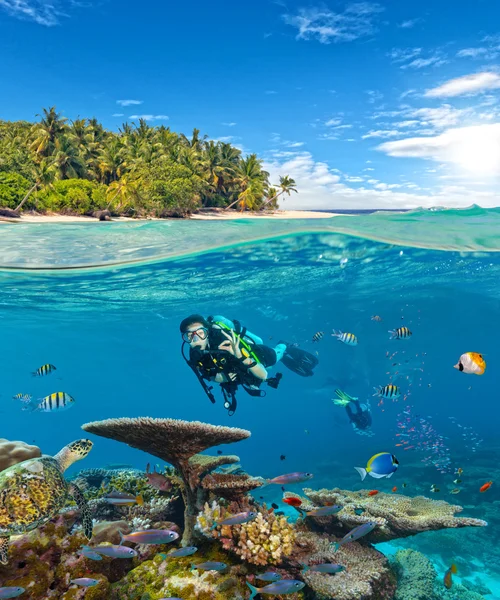 Underwater korallrev med dykare — Stockfoto