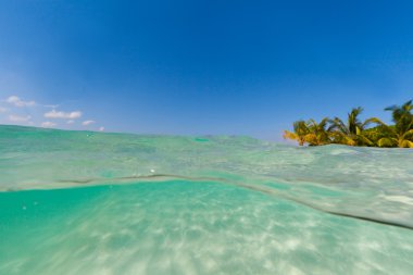 Sualtı kumlu plaj tropikal ada