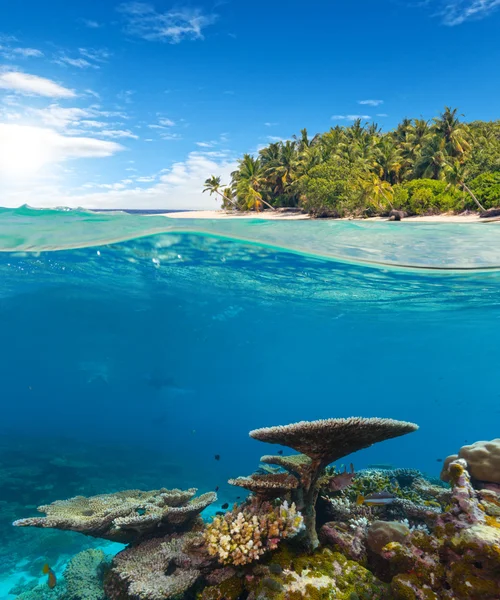 Underwater korallrev med tropisk ö — Stockfoto