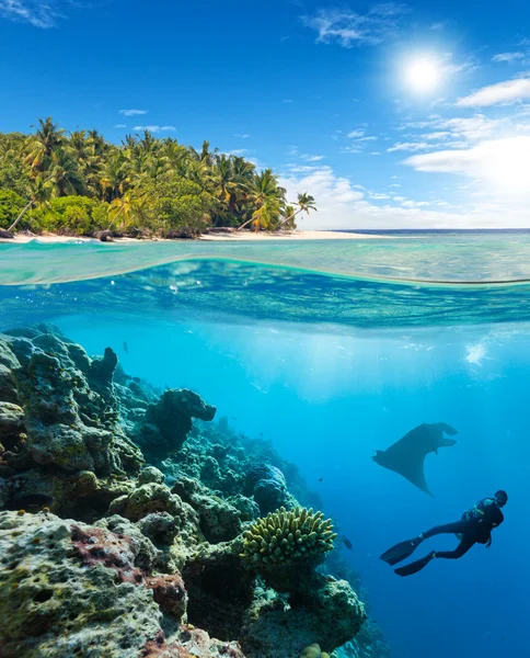 Onderwater koraalrif met scuba duiker en manta — Stockfoto