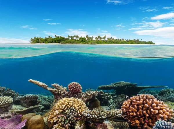 Underwater korallrev med tropisk ö — Stockfoto