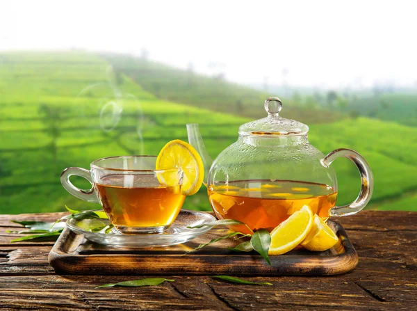 Fincan çay plantasyon arka plan üzerinde ile — Stok fotoğraf