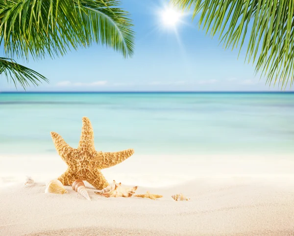 夏の砂浜でぼかしの背景に海 — ストック写真