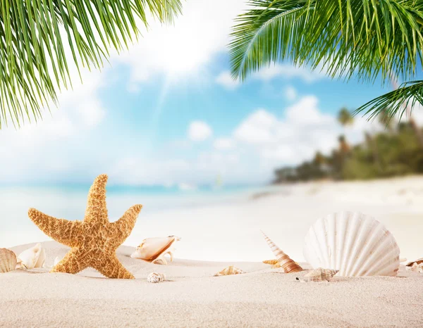 Spiaggia di sabbia estiva con oceano sfocato sullo sfondo — Foto Stock