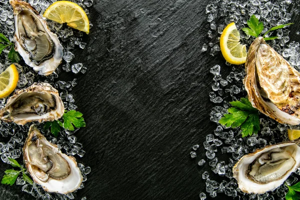 Ostras servidas en plato de piedra con deriva de hielo — Foto de Stock