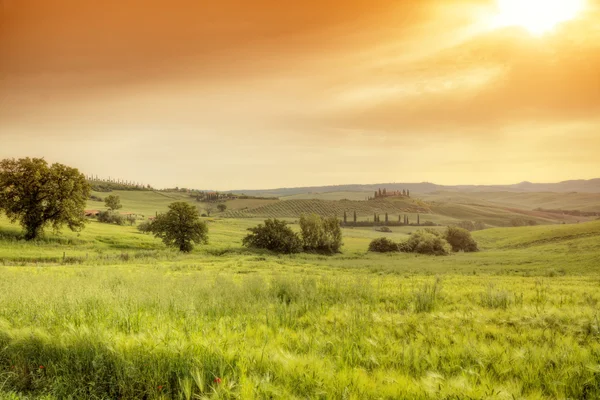 Hermoso paisaje de Toscana al amanecer —  Fotos de Stock