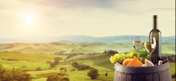 White wine with barrel on vineyard in Italy — Stock Photo, Image