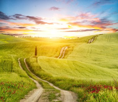Beautiful Tuscany landscape with track clipart