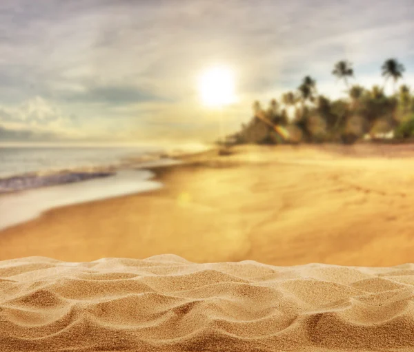 Lato, piaszczystej plaży z palmami — Zdjęcie stockowe