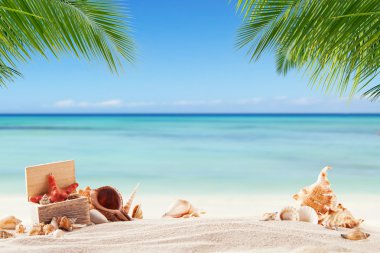 yaz plaj kabukları ile