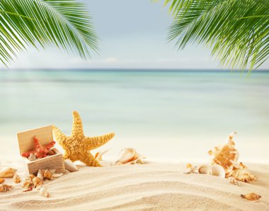 Summer beach with shells clipart