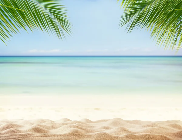 Літній піщаний пляж з розмитим океаном на фоні — стокове фото