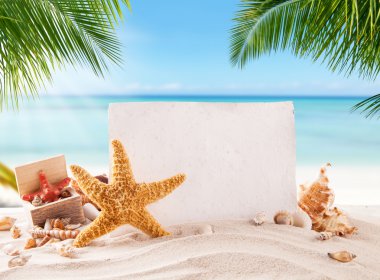 Kum çeşitli kabukları ile tropikal plaj