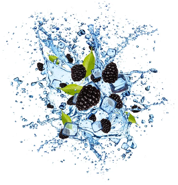 Blackberries in water splash on white background — Stock Photo, Image