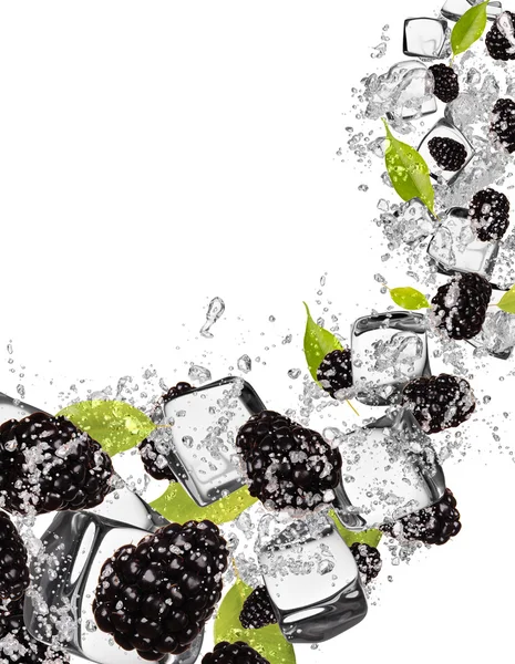 Blackberries in water splash on white background — Stock Photo, Image