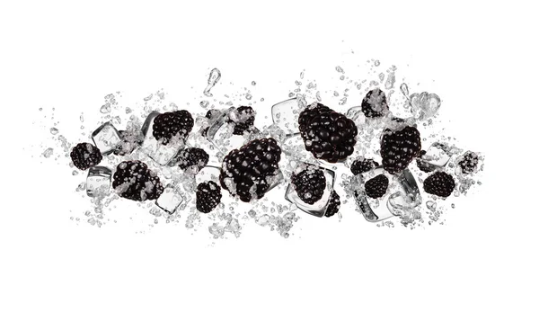 Moras en salpicaduras de agua sobre fondo blanco — Foto de Stock