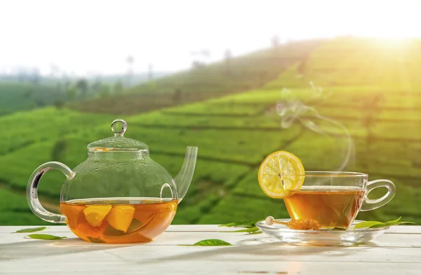 Fincan çay plantasyon arka plan üzerinde ile — Stok fotoğraf