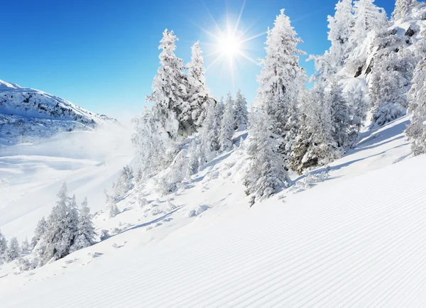 Beautiful winter landscape with ideal piste — Stock Photo, Image