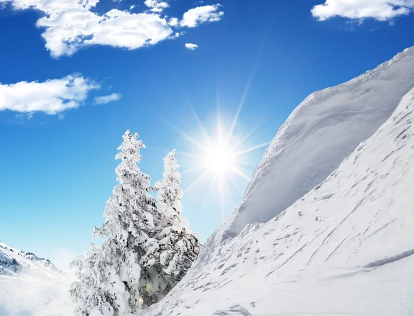 Bellissimo paesaggio invernale con alberi — Foto Stock