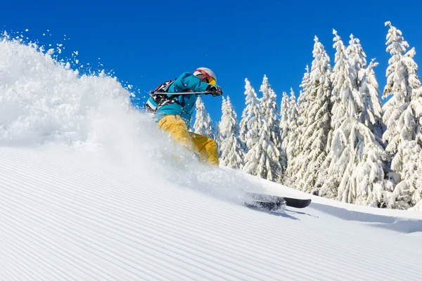 Skier на трасі біжить вниз — стокове фото