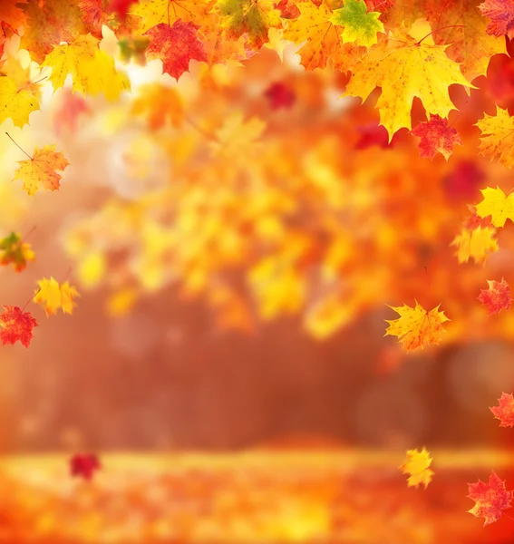 Fondo de otoño abstracto con copyspace — Foto de Stock