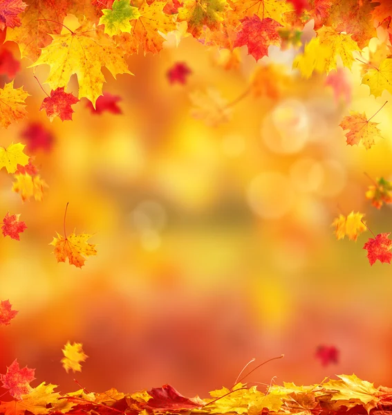 Fondo de otoño abstracto con copyspace — Foto de Stock