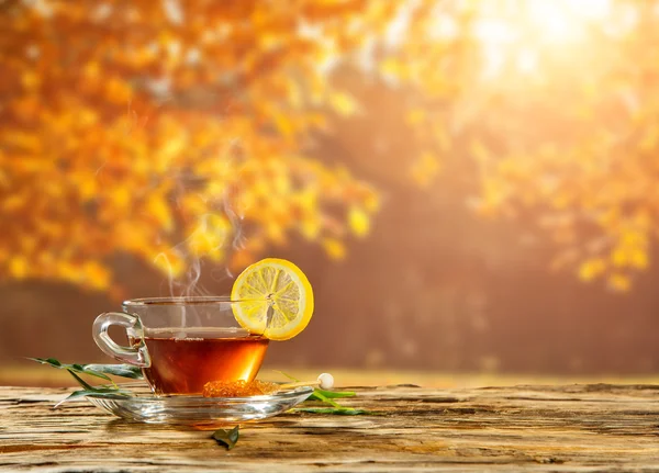 Automne nature morte avec tasse à thé sur planches de bois — Photo