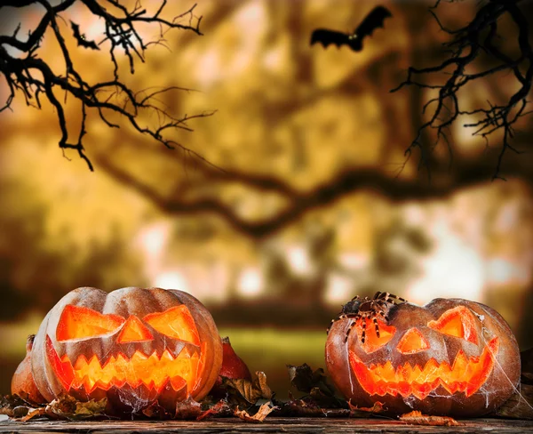 Assustador halloween abóboras com horror fundo — Fotografia de Stock