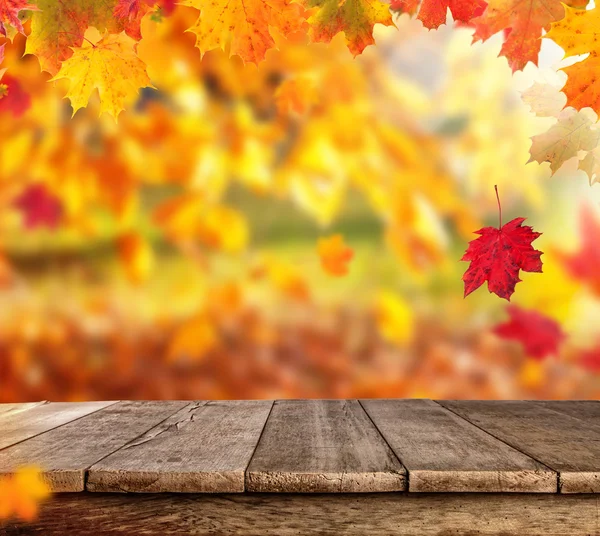 Autumn background with empty planks — Stock Photo, Image