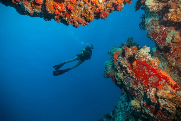 Mujer joven buceadora explorando fondo marino —  Fotos de Stock