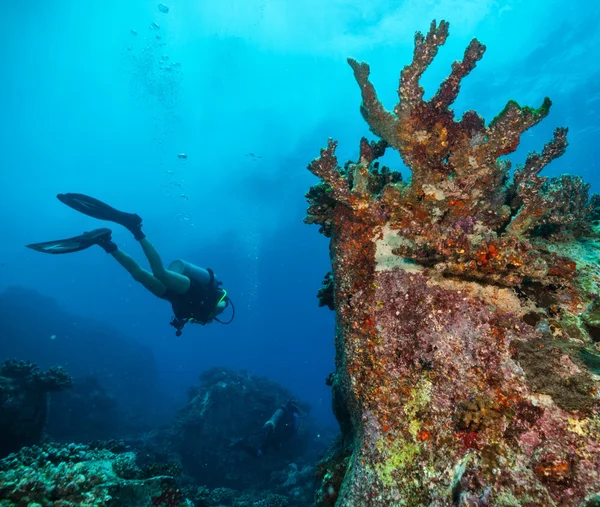 Mujer joven buceadora explorando fondo marino —  Fotos de Stock