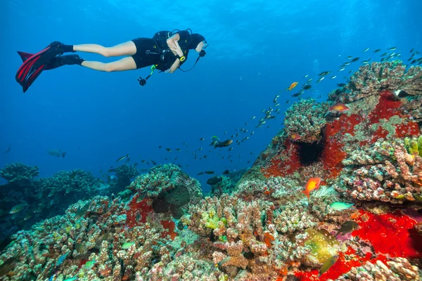 Mujer joven buceadora explorando fondo marino —  Fotos de Stock