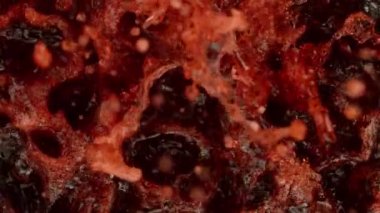 Kırmızı şarabın çok yavaş sıçraması. Yüksek hızlı sinema kamerası, 1000 fps..
