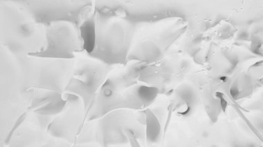 top angle of splashing milk texture, freeze motion, studio shit