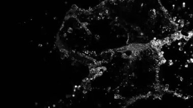 Siyah arka planda izole edilmiş çok yavaş su sıçratma hareketi. Yüksek hızlı sinema kamerası, 1000 fps..