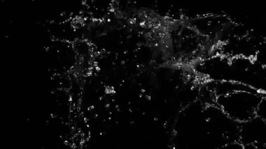 Siyah arka planda izole edilmiş çok yavaş su sıçratma hareketi. Yüksek hızlı sinema kamerası, 1000 fps..