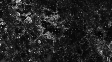 Siyah arka planda izole edilmiş çok yavaş su sıçratma hareketi. Yüksek hızlı sinema kamerası, 1000 fps..