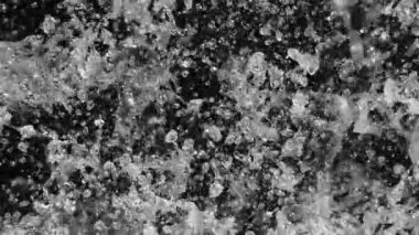 Siyah arka planda izole edilmiş çok yavaş su sıçratma hareketi. Yüksek hızlı sinema kamerası, 1000 fps..