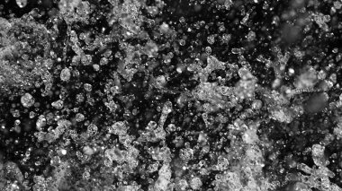 Siyah arkaplanda su sıçraması, stüdyo çekimi, su sıçrama şekli soyut su şekli.