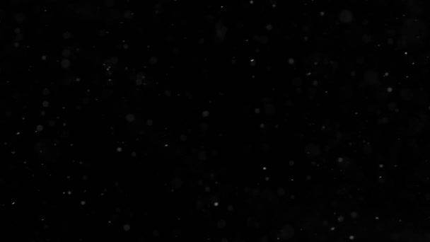 Super Slow Motion Artificial Snow Falling Black Background Filmed High — Stock Video