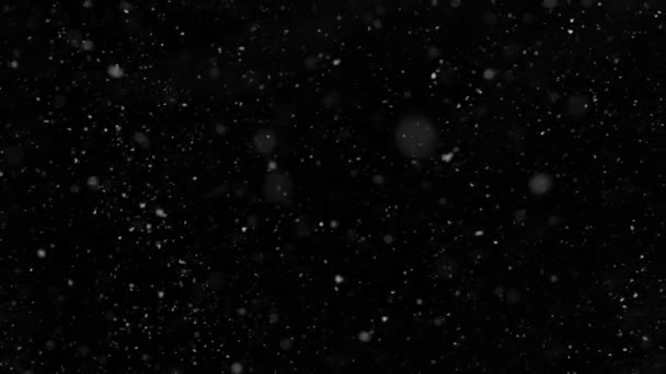 Super Cámara Lenta Nieve Artificial Cayendo Sobre Fondo Negro Filmado — Vídeo de stock