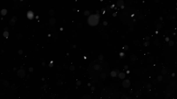 Σούπερ Αργή Κίνηση Του Τεχνητού Χιονιού Που Πέφτει Μαύρο Φόντο — Αρχείο Βίντεο