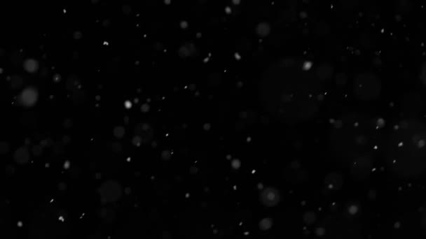 Σούπερ Αργή Κίνηση Του Τεχνητού Χιονιού Που Πέφτει Μαύρο Φόντο — Αρχείο Βίντεο