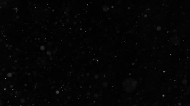 Super Slow Motion Artificial Snow Falling Black Background Filmed High — Stock Video