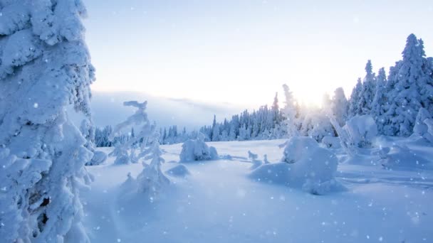 Zpomalený Pohyb Padajícího Sněhu Zimní Krajinou Pozadí Padající Sníh Natočený — Stock video