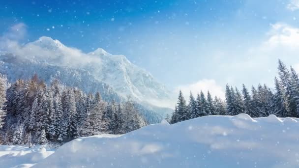 Mouvement Lent Neige Tombante Avec Paysage Hivernal Arrière Plan Chute — Video