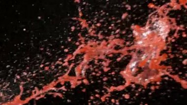 Kırmızı şarabın süper yavaş çekimleri siyah arka plana sıçrar. Yüksek hızlı sinema kamerası, 1000 fps.