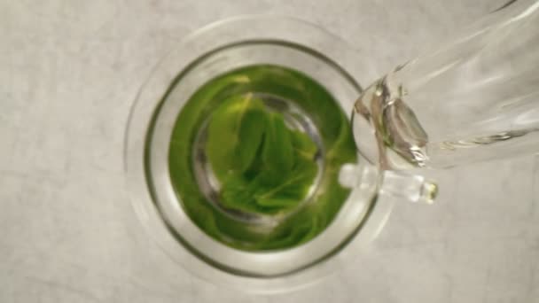 Super Slow Motion Versare Alla Menta Nella Tazza Con Fotocamera — Video Stock