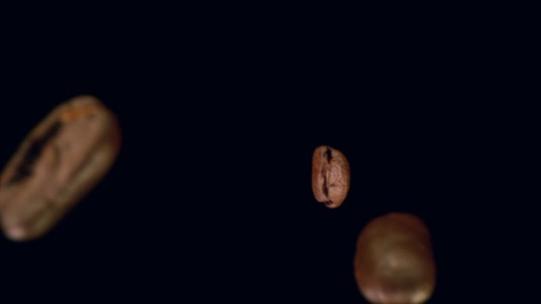Siyah Arka Planda Izole Kahve Çekirdekleri Çok Yavaş Düşüyor Yüksek — Stok video