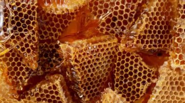 Balla bal sıçratmanın süper yavaş çekimi, üst manzara. Yüksek hızlı sinema kamerası, 1000 fps..